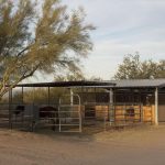 almost ranch 7