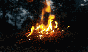 Annual Phoenix parks fire ban set to go into effect Friday