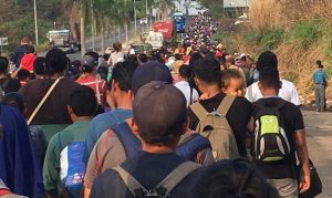 Border Patrol union chief wants border activists prosecuted as 'smugglers'