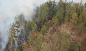 Firefighters making 'excellent progress' on eastern Arizona wildfire
