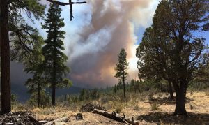 State Route 87 near Winslow re-opens as Tinder Fire continues to burn