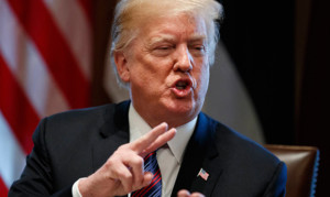Trump says he will send troops to guard border until wall is built