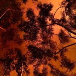 Hawaii Volcano 4