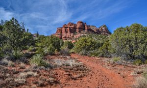 Parts of northern Arizona forest to close this summer to prevent wildfires