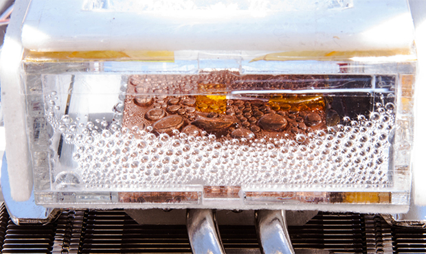 Scientists from the Massachusetts Institute of Technology and the University of California, Berkele...