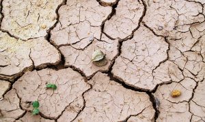 Dry winter expected in Arizona after weak monsoon season