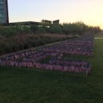 flags2-jcross