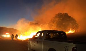 Pinery Fire in southeastern Arizona reaches 1,200 acres as growth slows