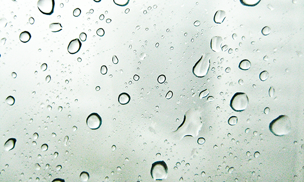 (Flickr/Praveen)...