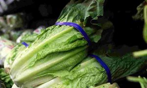1st death reported in E. coli outbreak linked to Arizona lettuce