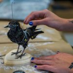 taxidermy10