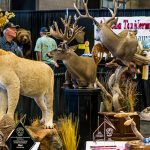 taxidermy11