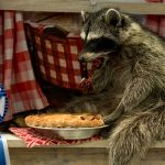 taxidermy13