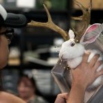 taxidermy8