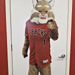 DBacks Therapy Room 4