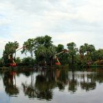 PhoenixZooLights13