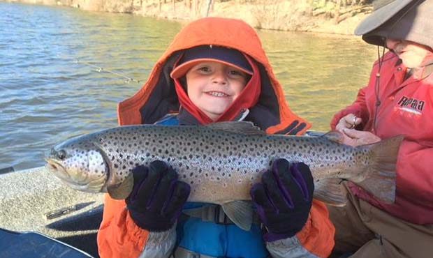 (Facebook Photo | Arizona Game and Fish)...
