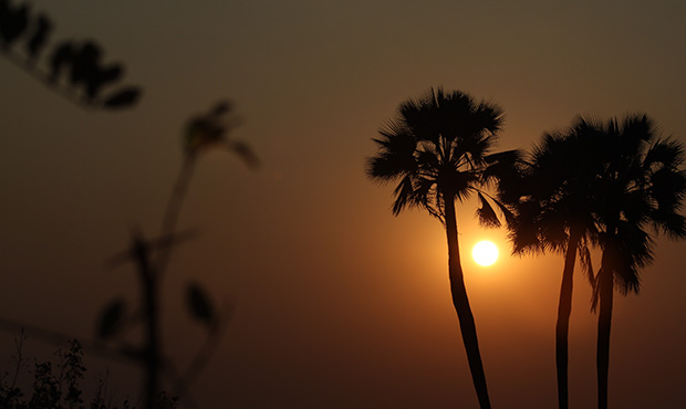 (Unsplash.com Photo)...