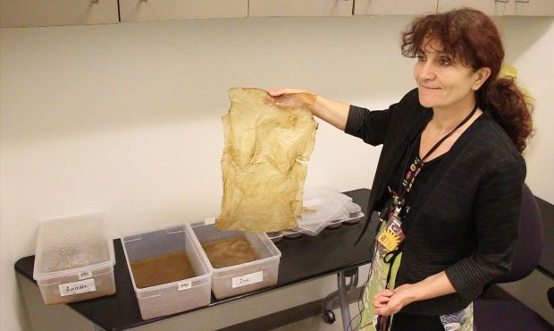 Galina Mihaleva holds up a brittle prototype as she explains the process of growing textiles with k...