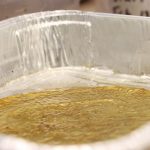 Kombucha Couture