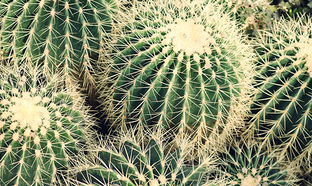 (Pexels photo)...