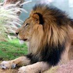 kitambi5