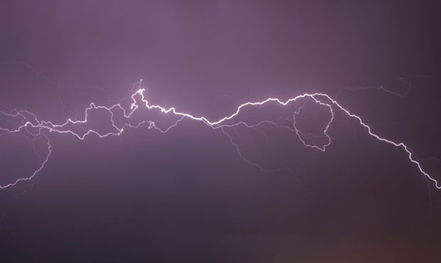 Related Here is how to prepare your trees to withstand monsoon season in Arizona1 dead, 1 in hospit...