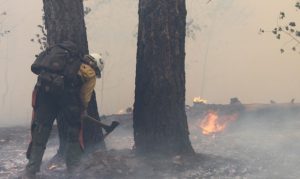 Grand Canyon wildfire reaches nearly 10,000 acres, forcing more closures