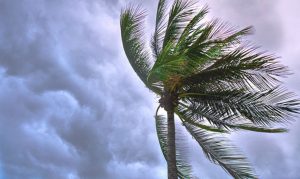 2018 Arizona monsoon storms have knocked power companies for a loop