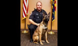 Chandler police K9 to receive protective bullet and stab vest