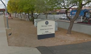 Maricopa County planning to relocate East Valley animal shelter