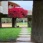 flw-arcadia6-insta