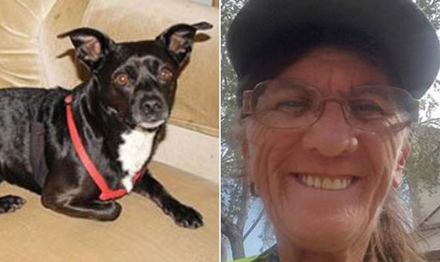 George and Arizona Department of Transportation worker Michele Meredith. (Arizona Department of Tra...
