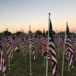 healing-field2-2018-jcross