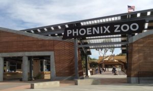 Phoenix Zoo gets $250,000 donation for 500-seat wildlife amphitheater