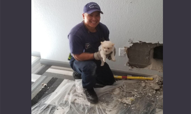 (Twitter/@ScottsdaleFire)...