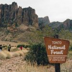 (Photo: Tonto National Forest twitter @TontoForest)