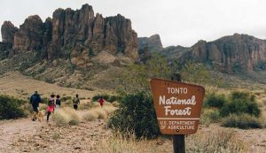 Tonto National Forest Christmas tree permits available in November