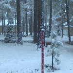 flagstaff-snow-forest lake-twitter