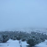 flagstaff-snow4-oct2018