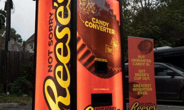 (Twitter Photo/@reeses)...