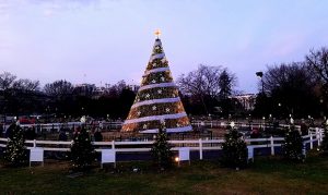 Phoenix middle school to create National Christmas Tree ornament