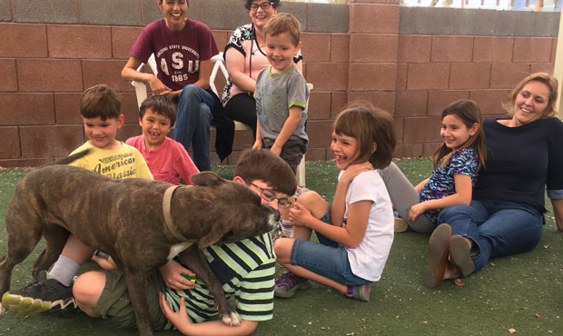 (Arizona Animal Welfare League Photo)...