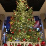 azcap-tree-2018-twitter