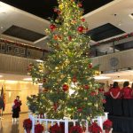 azcap-tree-twitter2