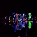 zoolights2-insta