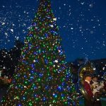 zoolights5-twitter