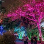 zoolights6-twitter