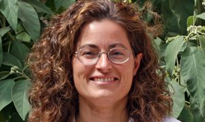 Arizona professor sues Board of Regents in discrimination case