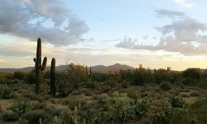 Arizona among fastest-growing states, according to US Census Bureau